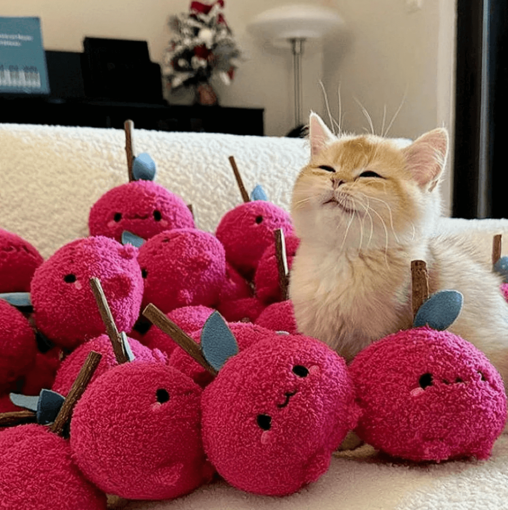 Have a Stuffed Animal of Your Pet and Let Love Accompany You All the Time!