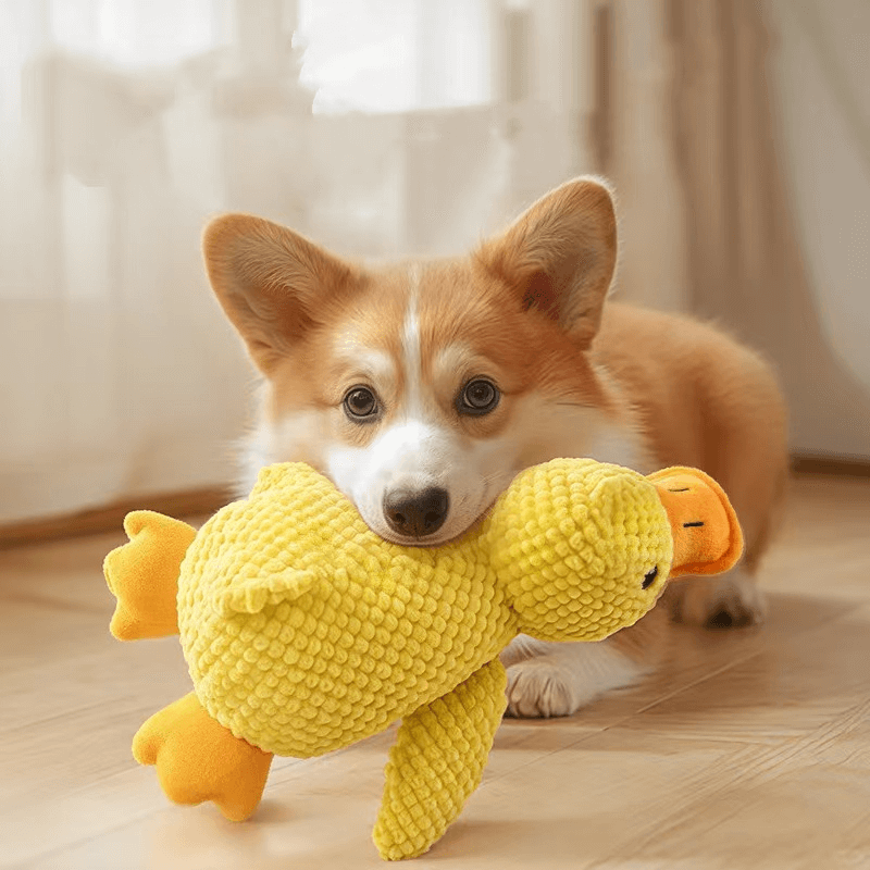 Have a Stuffed Animal of Your Pet and Let Love Accompany You All the Time!