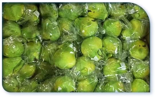 Plush Toys in Bulk