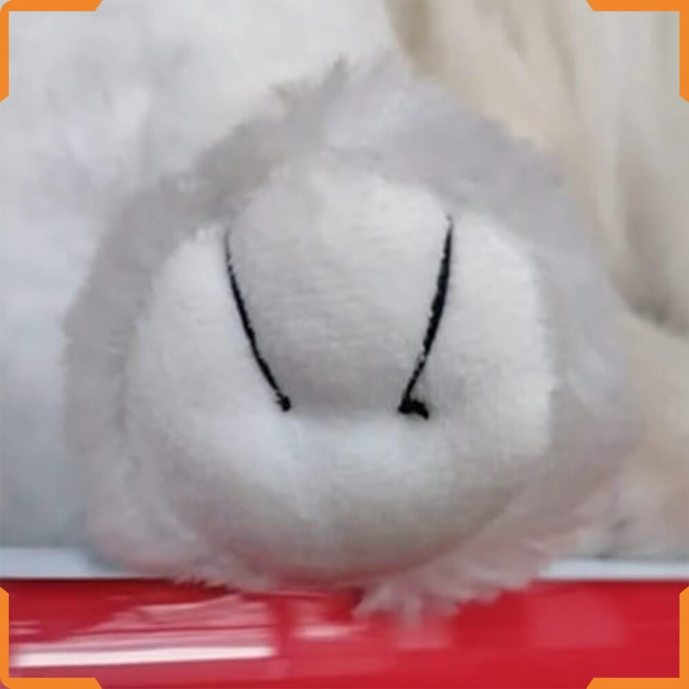 Cloth embroidery
