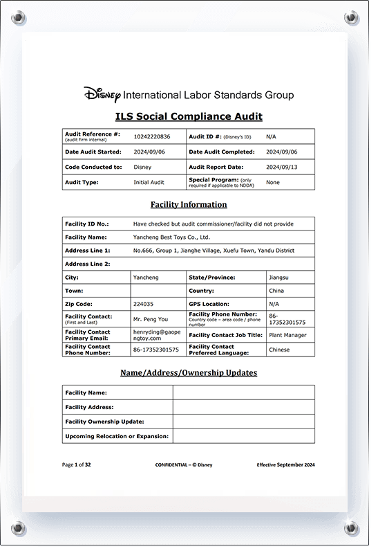 Disney Certification